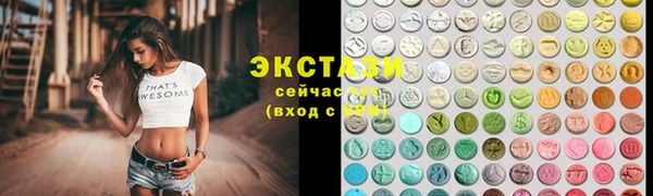 СК Дедовск
