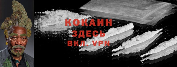 СК Дедовск