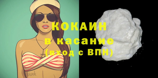 соль ск Богданович