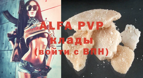 спайс Бородино