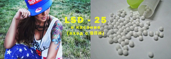 спайс Бородино
