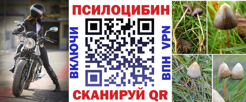 Псилоцибиновые грибы GOLDEN TEACHER  где продают наркотики  Можайск 
